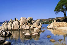 开云棋牌平台-逆流而上，从辽宁到利拉德，竞技体育的唯一性时刻