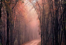 开云棋牌入口-曼联战平尤文，孙兴慜乌龙送礼西甲