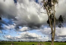 开云棋牌平台-蓝衣军团绝境狂飙！数据揭秘欧冠惊天逆转，玄机暗藏何处？