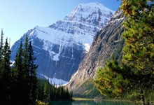 开云官网-欧洲悲喜剧！意大利泪洒科隆，南美绞肉机启动